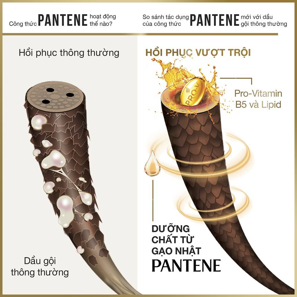 Hộp Quà Dầu Gội Xả Pantene Phục Hồi Hư Tổn&nbsp;Pro-V Total Damage Care